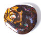Solid boulder matrix opal #CM154