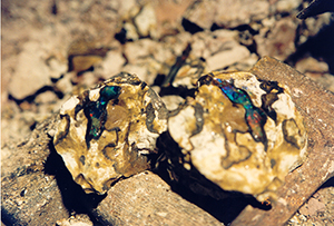 Opales boulder brutes