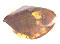 Spécimen d'opale boulder poli #PBS164