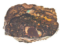 Polished boulder opal specimen #PBS165