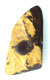 Spécimen d'opale boulder matrix poli